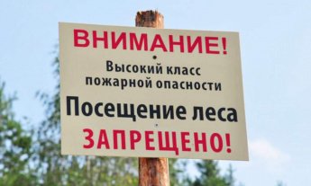 С 5 по 25 апреля действует ограничение пребывания граждан в лесах Забайкалья