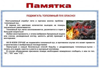 Тополиный пух. Опасно!