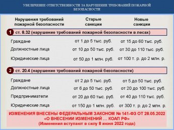 Берегите лес от пожара! Нарушителям предусмотрены санкции!